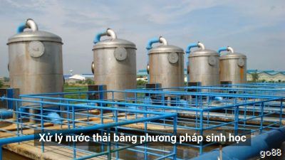 Phương Pháp Xử Lý Nước Thải Sinh Học